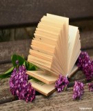Tóm tắt Luận văn Thạc sĩ: Nâng cao chất lượng dịch vụ môi giới tại Công ty Cổ phần Chứng khoán Ngân hàng Thương mại Cổ phần Việt Nam Thịnh Vượng