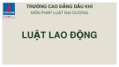 Bài giảng Pháp luật: Bài 4 - Phạm Thị Lưu Bình