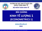 Bài giảng Kinh tế lượng 1: Chương 1 - Trường ĐH Kinh tế Quốc Dân (Năm 2022)