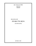 Bài giảng Tin học ứng dụng - Vũ Bá Anh (năm 2010)