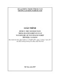 Giáo trình Thực hành kế toán trong doanh nghiệp sản xuất (Nghề: Kế toán doanh nghiệp - Cao đẳng) - Trường Cao đẳng nghề Hà Nam (năm 2017)