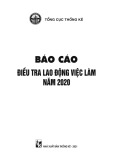 Báo cáo điều tra lao động việc làm năm 2020