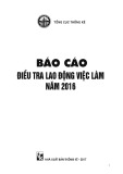 Báo cáo điều tra lao động việc làm năm 2016