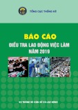 Báo cáo điều tra lao động việc làm năm 2019