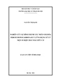 Luận án Tiến sĩ Hóa học: Nghiên cứu sự hình thành tác nhân oxi hóa peroxymonocarbonate và ứng dụng xử lý một số hợp chất màu hữu cơ