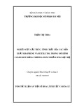 Tóm tắt Luận án Tiến sĩ Hóa lí thuyết và Hóa lí: Nghiên cứu cấu trúc, tính chất của các dẫn xuất graphene và rutile TiO2 trong mô hìnhcompositebằng phương pháp phiếm hàm mật độ