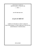 Luận án Tiến sĩ Hóa học: Nghiên cứu tổng hợp, cấu trúc và khảo sát hoạt tính sinh học của một số hợp chất chứa dị vòng benzothiazole và benzoxazole