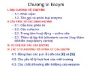 Bài giảng Hóa Sinh đại cương: Chương 5 - Enzym