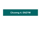 Bài giảng Hóa sinh và thí nghiệm hóa sinh: Chương 4 - Enzym