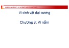 Bài giảng Vi sinh vật: Chương 3 - Phạm Tuấn Anh