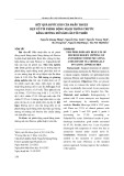 Kết quả bước đầu của phẫu thuật kẹp cổ túi phình động mạch thông trước bằng đường mổ xâm lấn tối thiểu