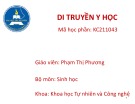 Bài giảng Di truyền y học: Chương 4 - Phạm Thị Phương