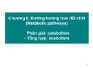 Bài giảng Hóa sinh - Chương 8: Các đường hướng chuyển hóa chính trong trao đổi chất và trao đổi năng lượng