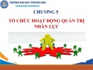 Bài giảng Quản trị nhân lực căn bản - Chương 5: Tổ chức hoạt động quản trị nhân lực (Chương trình Sau đại học)