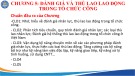 Bài giảng Quản trị nhân lực công - Chương 5: Đánh giá và thù lao lao động trong tổ chức công