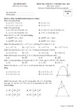 Đề kiểm tra học kì 1 môn Toán lớp 10 năm 2022-2023 - Trường THPT chuyên Hạ Long, Quảng Ninh (Mã đề 101)