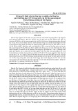 Sử dụng kỹ thuật siêu âm tổng hợp và nghiên cứu động học quá trình hấp phụ Cr(VI) trong nước của vật liệu nanocomposit Fe3O4/Chitosan từ bùn đỏ Tây Nguyên