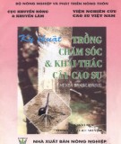 Kỹ thuật trồng cây cao su: Phần 1