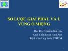 Bài giảng Sơ lược giải phẫu và u vùng ổ miệng - ThS. BS. Nguyễn Anh Huy