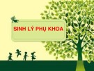 Bài giảng Sinh lý phụ khoa