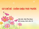 Bài giảng Cơ chế đẻ - chẩm chậu trái trước