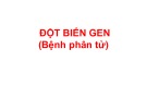 Bài giảng Đột biến gen (Bệnh phân tử)