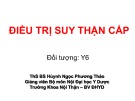 Bài giảng Điều trị suy thận cấp - ThS. BS Huỳnh Ngọc Phương Thảo