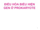 Bài giảng Điều hòa biểu hiện gen ở prokaryote