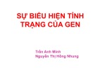 Bài giảng Khả năng biểu hiện gen - Trần Anh Minh