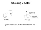 Bài giảng Hóa hữu cơ: Chương 7 - Amin