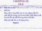 Bài giảng Lập trình C: Chương 9 - File