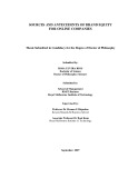 Doctoral thesis of Philosophy: Sources and antecedents of brand equity for online companies