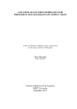 Doctoral thesis of Philosophy: Location-allocation modelling for Indonesian multi-echelon LPG supply chain