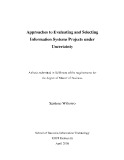 Master's thesis of Business: Approaches to selecting information systems projects under uncertainty