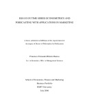 Doctoral thesis of Philosophy: Essays in time series econometrics and forecasting with applications in marketing