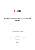 Master's thesis of Engineering: Liquid metal facilitated synthesis of low dimensional materials