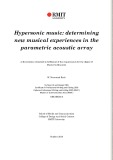 Master's thesis of Research: Hypersonic music: determining new musical experiences in the parametric acoustic array