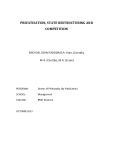 Doctoral thesis of Philosophy: Privatisation, state restructuring and competition