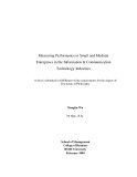 Master's thesis of Engineering: Measuring performance in small and medium enterprises in the information and communication technology industries