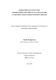 Doctoral thesis of Philosophy: Market-driving innovation: Understanding the critical success factors at the front end of the development process