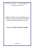 Luận án Tiến sĩ Nông nghiệp: Nghiên cứu bệnh do nấm Phytophthora spp. gây hại trên cây ăn quả có múi và biện pháp phòng chống theo hướng sinh học tại Cao Bằng