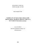 Luận án Tiến sĩ Bảo vệ thực vật: Nghiên cứu sử dụng thực khuẩn thể trong phòng trị bệnh thối hạt trên lúa do vi khuẩn Burkholderia glumae