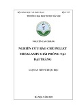 Luận án Tiến sĩ Dược học: Nghiên cứu bào chế pellet mesalamin giải phóng tại đại tràng