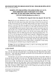 Nghiên cứu ảnh hưởng của hàm lượng N, P, K và thời điểm bón thúc phân hữu cơ vi sinh đến một số chỉ tiêu sinh trưởng, sinh lý của cây gai xanh (Boehmeria nivea L.)