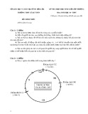 Đề thi học sinh giỏi cấp trường môn Sinh học lớp 10 năm 2022-2023 - Trường THPT Lê Qúy Đôn