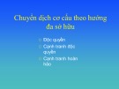 Bài giảng Thị trường điện: Chuyển dịch cơ cấu theo hướng đa sở hữu