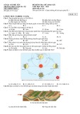 Đề thi giữa học kì 1 môn Địa lí lớp 10 năm 2022-2023 có đáp án - Trường THPT Ngô Gia Tự