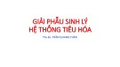 Bài giảng Giải phẫu sinh lý hệ thống tiêu hoá - ThS. BS. Trần Quang Thảo