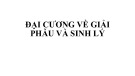 Bài giảng Giải phẫu sinh lý - ThS. BS. Trần Quang Thảo