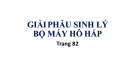 Bài giảng Giải phẫu sinh lý bộ máy hô hấp - ThS. BS. Trần Quang Thảo